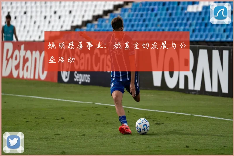 姚明慈善事业:姚基金的发展与公益活动