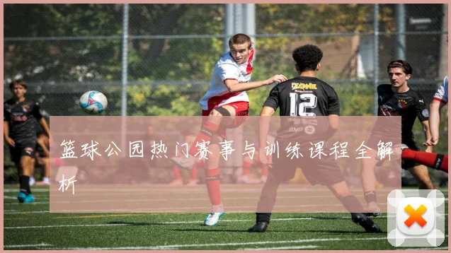 篮球公园热门赛事与训练课程全解析